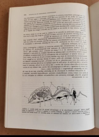 Tratado de Entomología