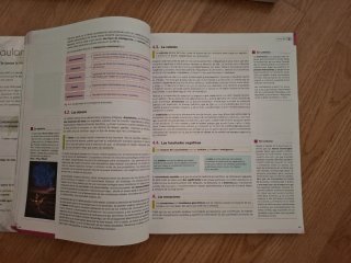 Libros 1 Bachillerato. Humanidades. IES Hontanilla