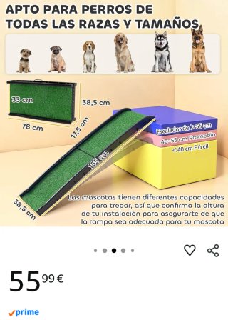 Rampa para perros césped