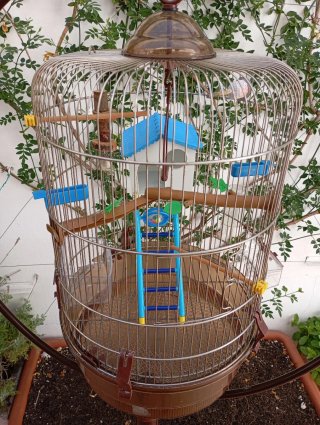 Jaula para pájaros con pie