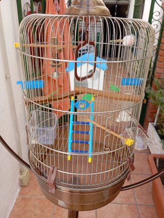 Jaula para pájaros con pie
