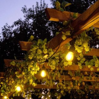 Pérgola de madera