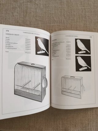 Canarios: Color, Forma Y Canto.