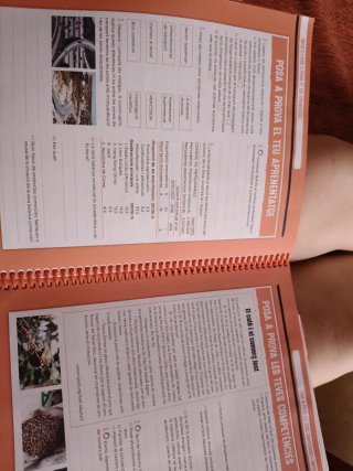 Socials, 3 ESO, Programa Maria Pi Sunyer, Barca...