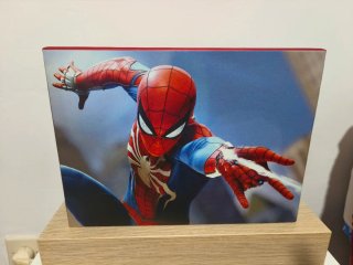 Marvel Spider-Man Edizione Collezionista PS4