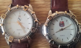 Lote de 15 relojes variados