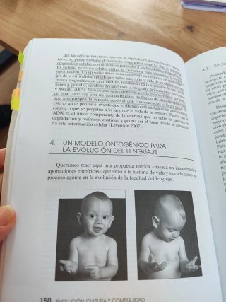 Evolución, cultura y complejidad la humanidad ...