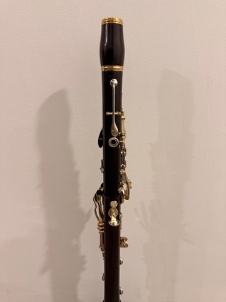Clarinete Sib Boehm Venus Cocobolo