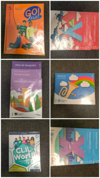 Lote libros de 5° primaria
