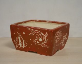 Maceta cerámica para bonsai
