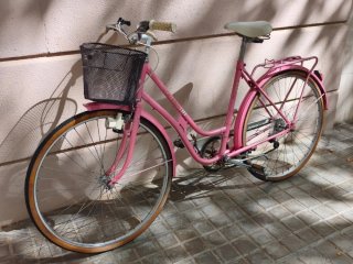 Bicicleta paseo