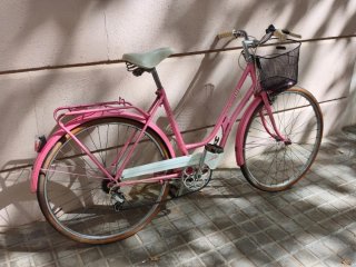 Bicicleta paseo