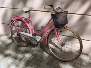 Bicicleta paseo