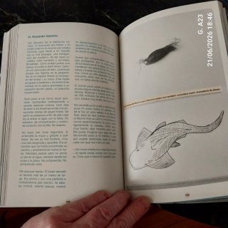 El viaje de Odei