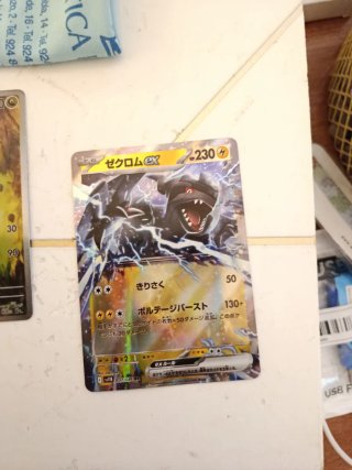 Carta Pokémon Zekrom EX 230 HP