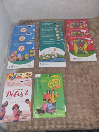 Libros primaria santillana