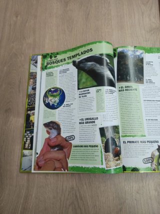 Libro Guinness de los records 2009