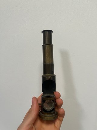 Microscopio de Bronce Antiguo (1880-1900)