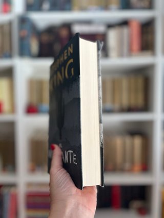 El visitante. Stephen King