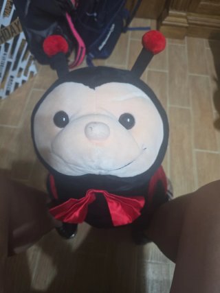 Peluche Mariquita Grande