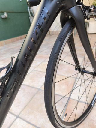 Bicicleta Specialized Amira Carbono