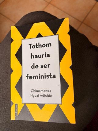 Tothom hauria de ser feminista