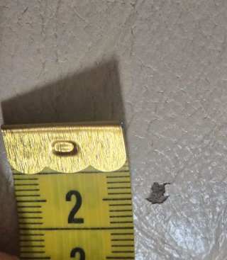 Sofá de piel beige 2 plazas