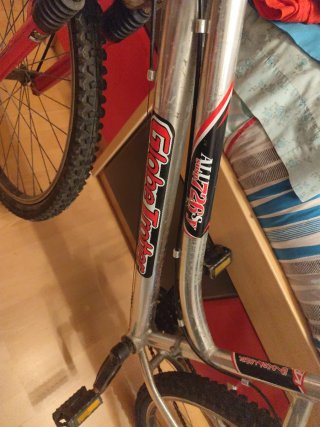 Bicicleta Globe Trotter