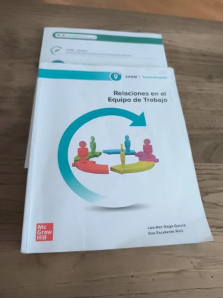 Relaciones en el equipo de trabajo Grado Medio