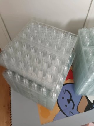 100 Hueveras Codorniz Plástico