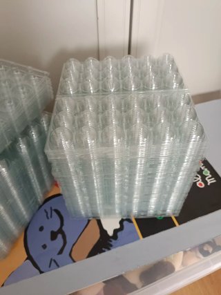 100 Hueveras Codorniz Plástico
