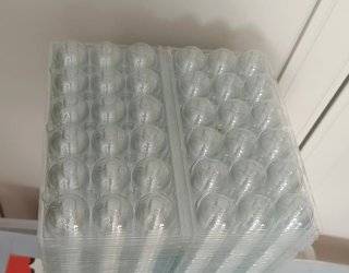 100 Hueveras Codorniz Plástico