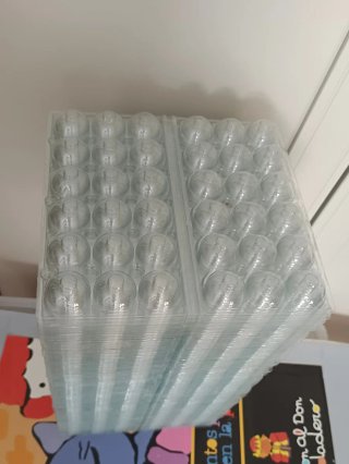 100 Hueveras Codorniz Plástico