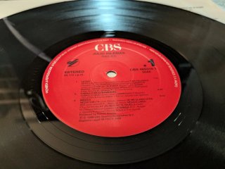 Julio Iglesias Raíces LP Vinilo Latino