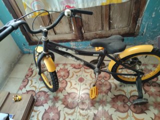 Bici infantil con ruedines