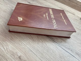 Derecho Penal Parte general