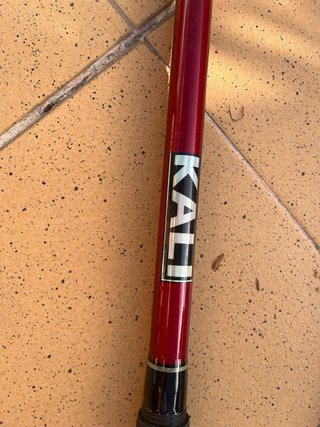 Caña de pesca roja