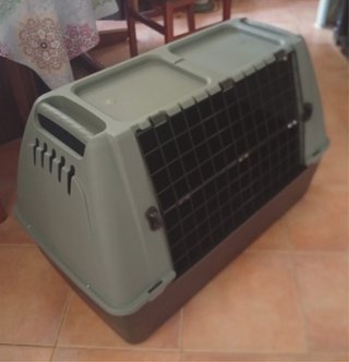 Transportín jaula Bergamo. grande perro