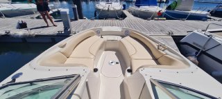 Barco Searay 240