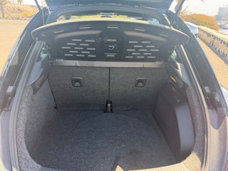 Volkswagen Beetle turbo