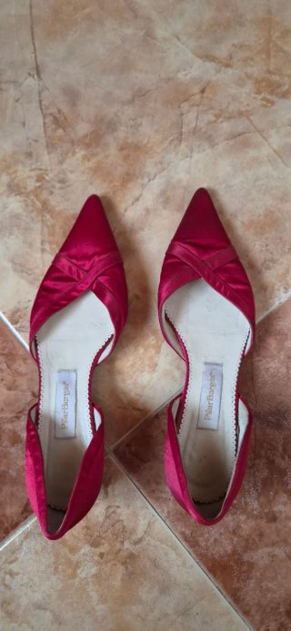 Zapatos de fiesta rojos