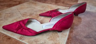Zapatos de fiesta rojos