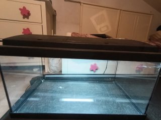Acuario con filtro