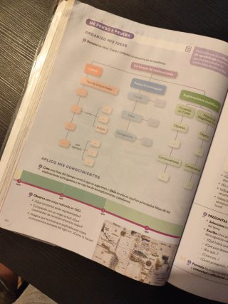 Geografía e Historia 2 ESO