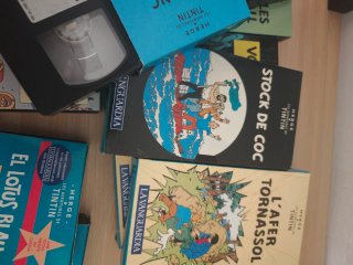 Col•lecció Completa Tintín VHS