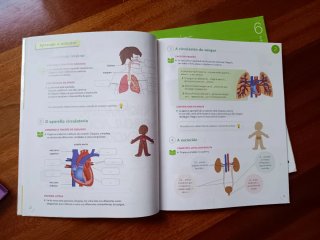 Ciencias da naturaleza, 6 Primaria, Proxecto Co...