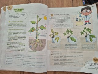 Ciencias de la Naturaleza, 4° Primaria