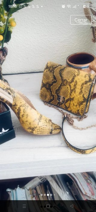 Zapatos y bolso Primadonna estampado pitón