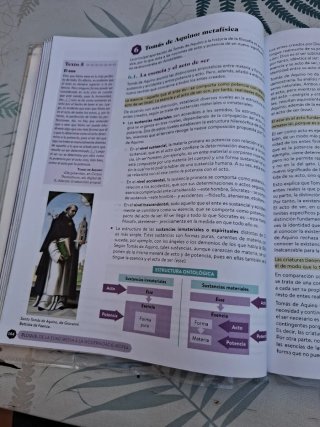 Historia de la Filosofía, 2 Bachillerato, Genio...