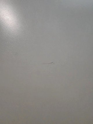 Escritorio plegable blanco y silla escritorio negr